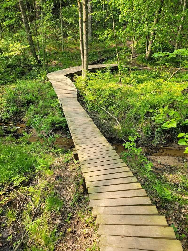 Wooded Trails That Wander In Every Direction