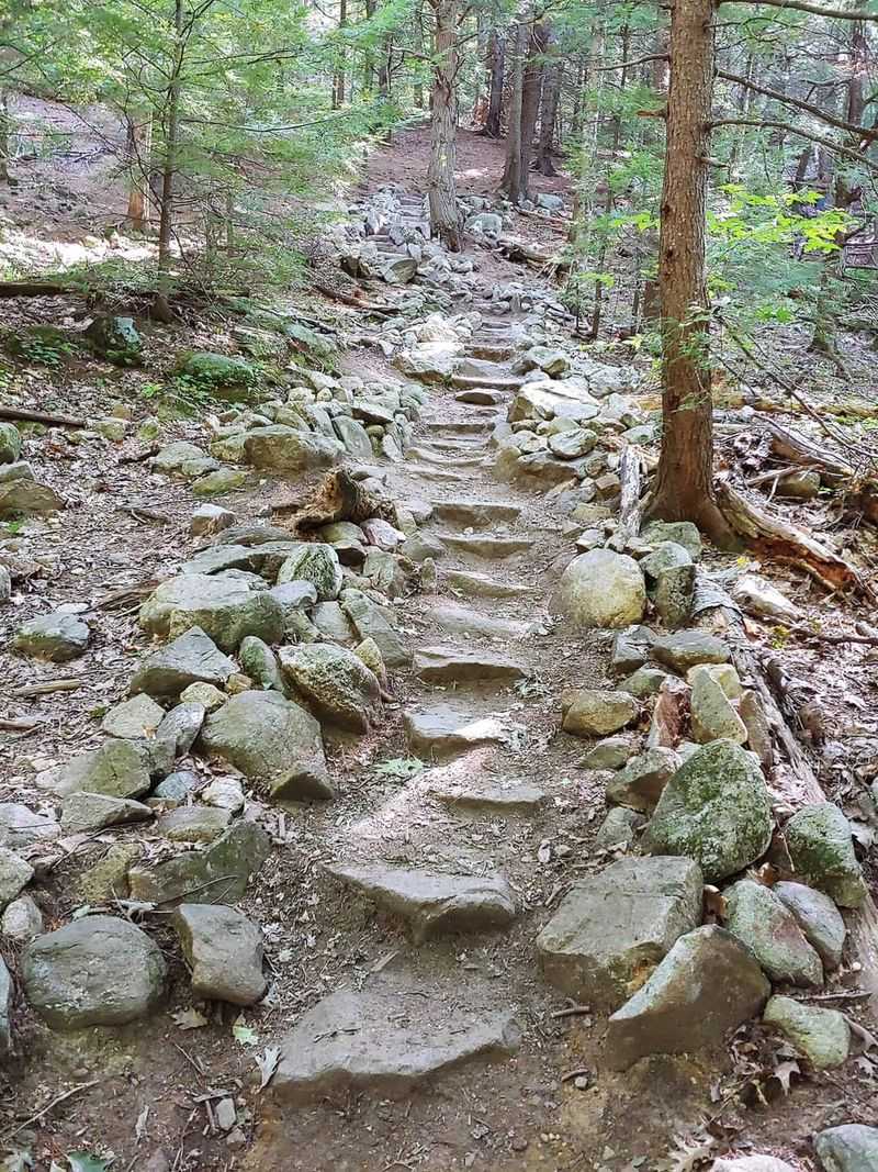 Pick Your Path, Pick Your Pace