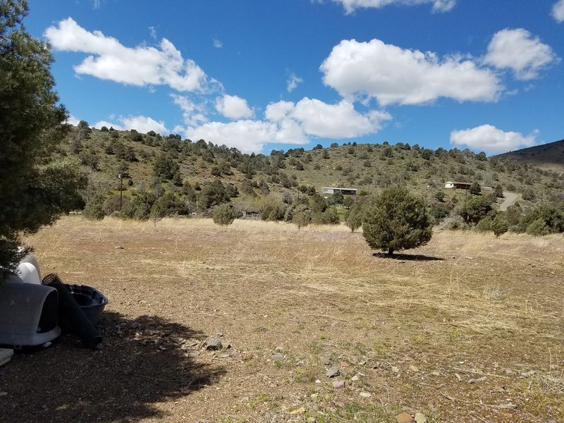 A Peaceful Setting That Helps Animals Heal