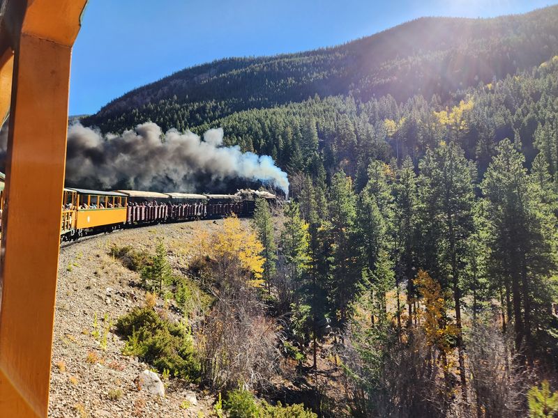 Golden Aspens Steal The Show