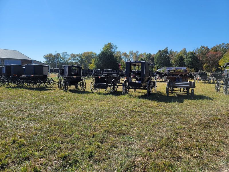 Old-World Farming, Delivered By Wagon