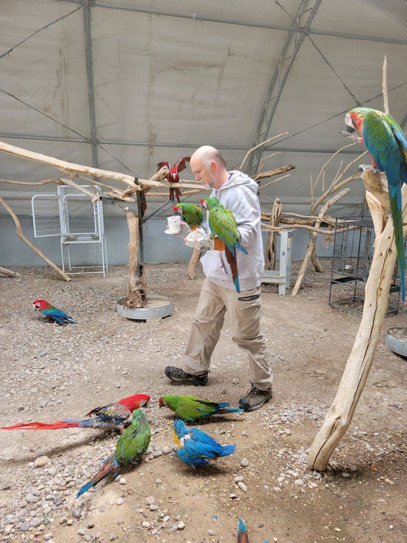 Parrots With Opinions And Plenty To Say