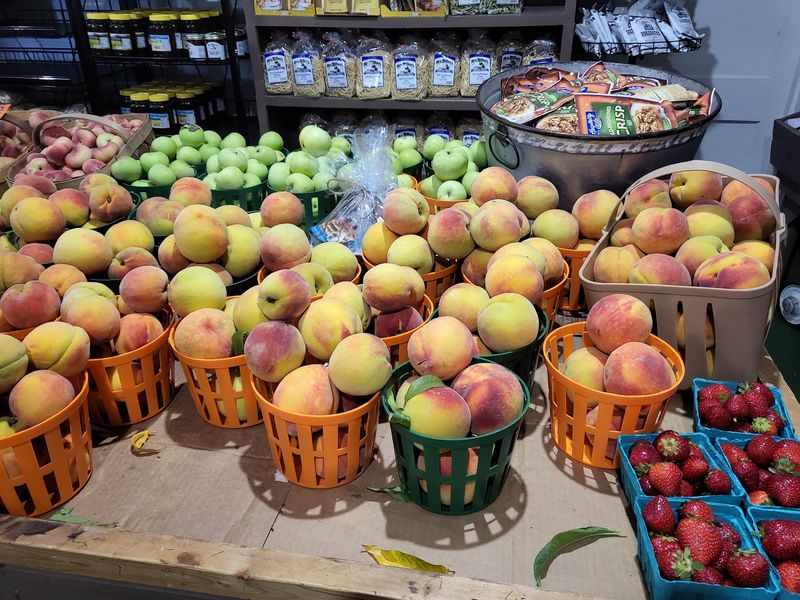 Seasonal Fruit That Changes With The Calendar