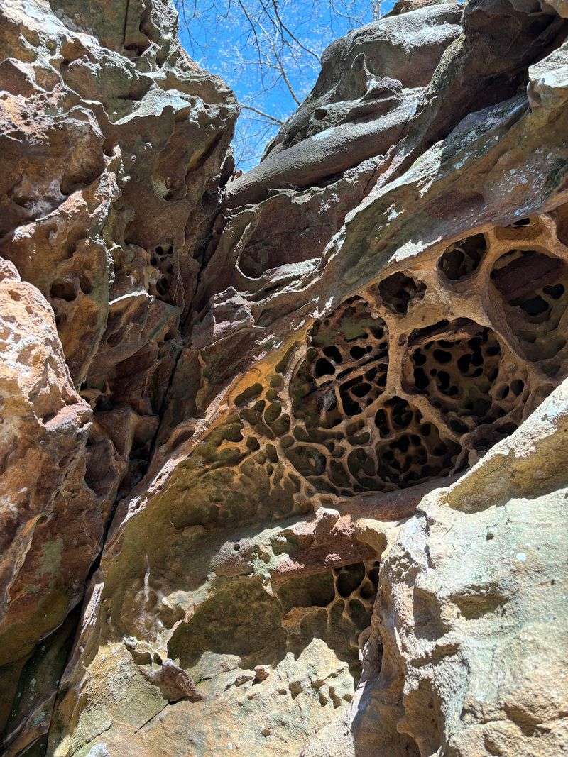 Millions of Years of Water Doing the Carving