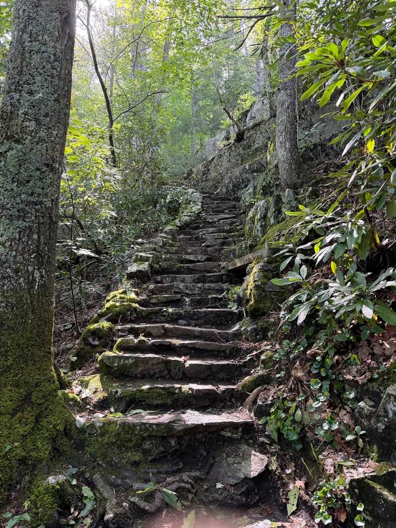 Stone Steps To The Top Of The Ridge