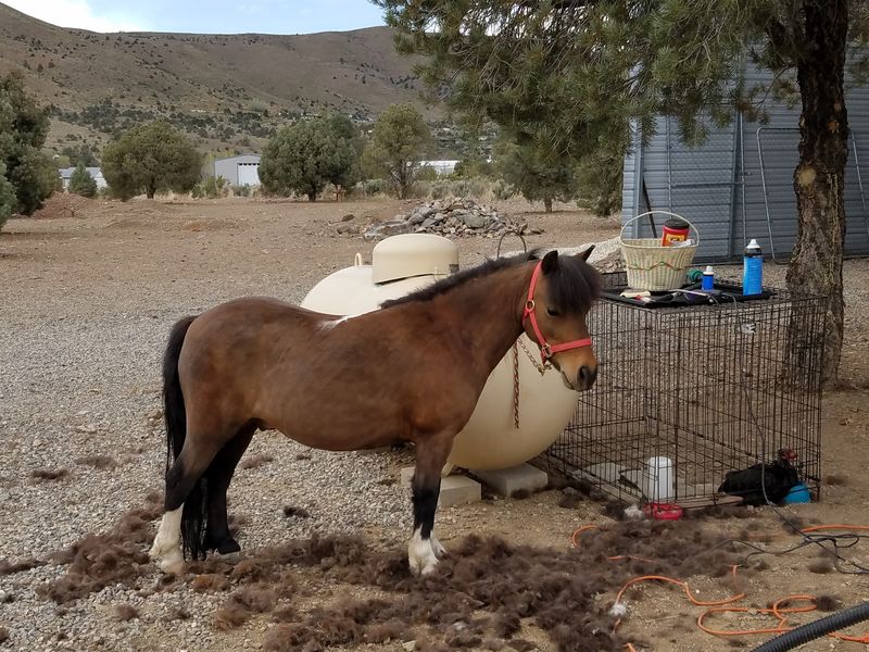 Why This Rescue Work Deserves Attention