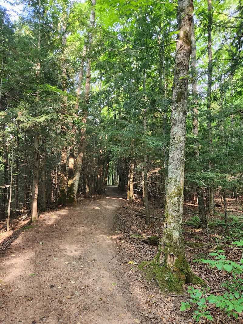 Finding The Trailhead Deep In The National Forest
