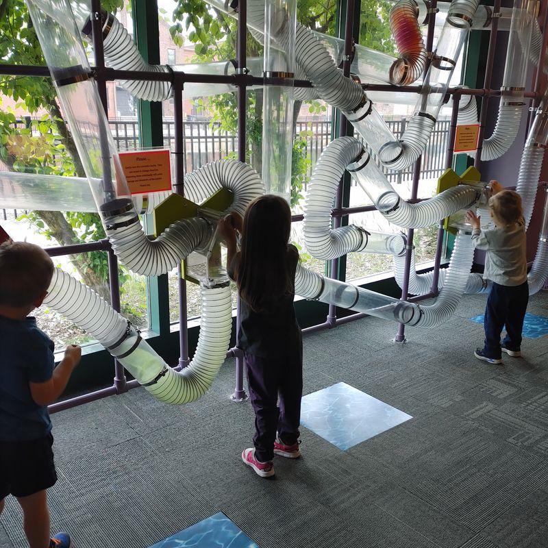 Twenty Plus Exhibits For Every Age Group