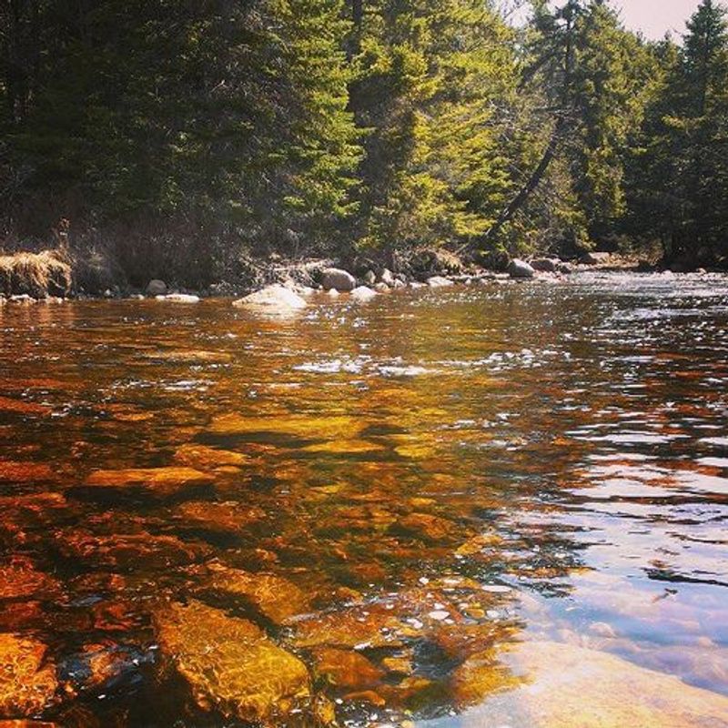 Meet Adirondack Park, The Forever Wild Giant