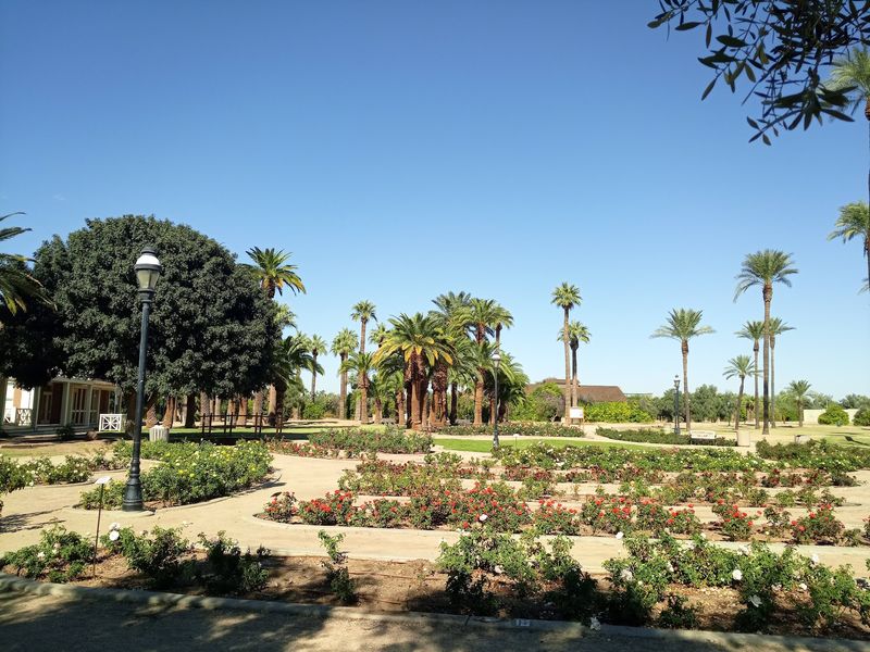 Tasty Secrets Of The Desert