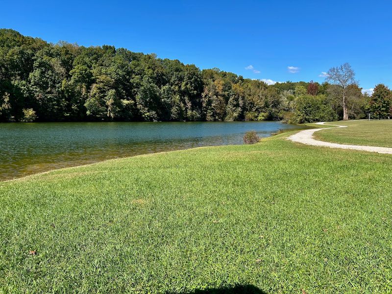 Lace Up For The Estill Springs Walking Trail