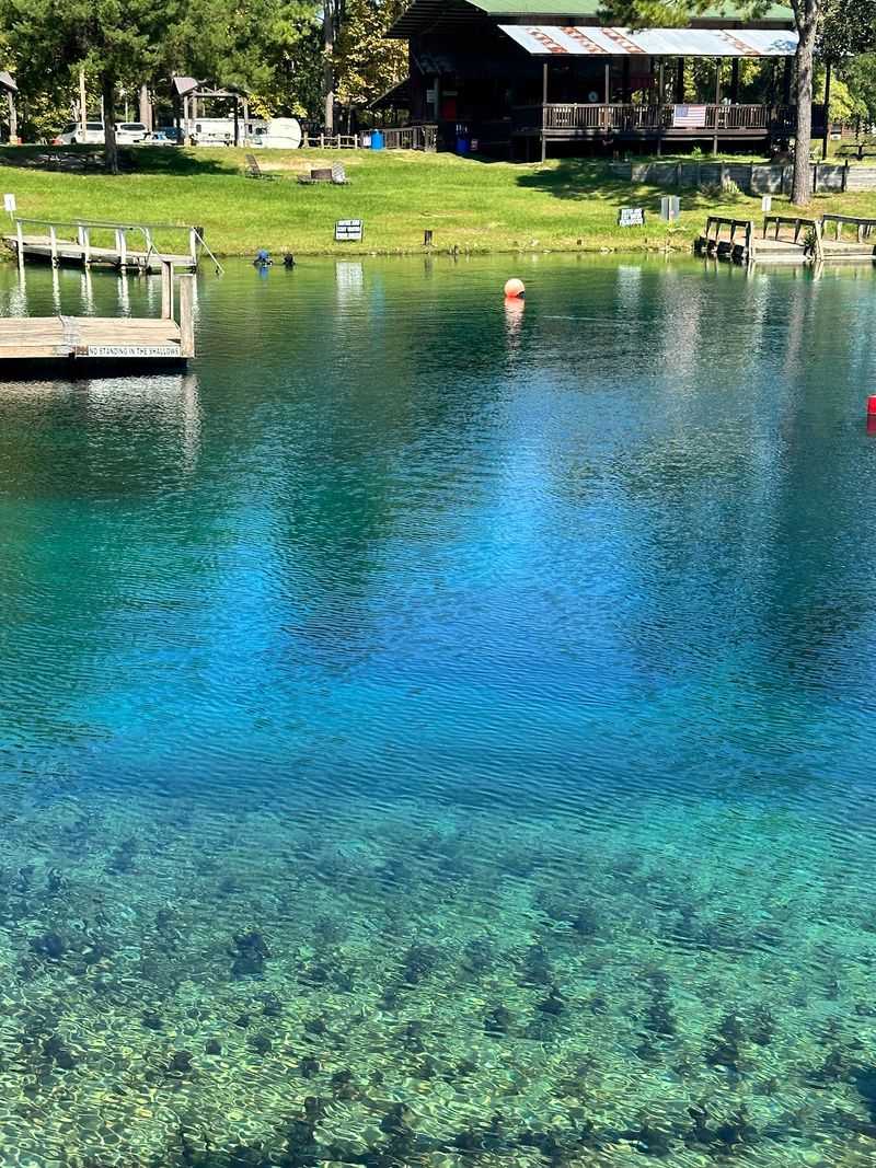 Slides, Swings, And A Very Brave Diving Board