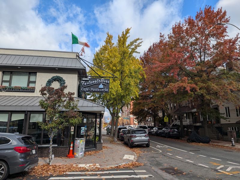 Meet Fortunato Brothers On Manhattan Avenue