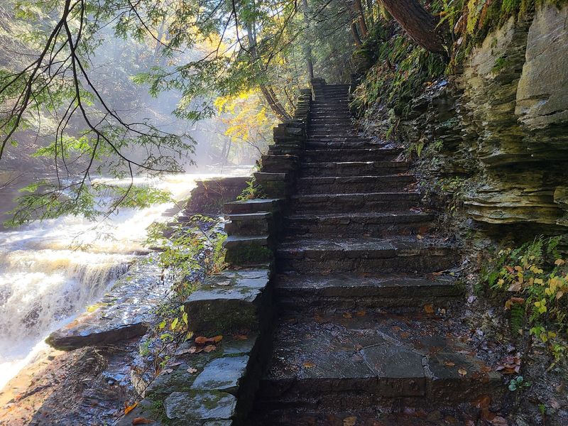 Climbing The Gorge Trail Stair By Stair