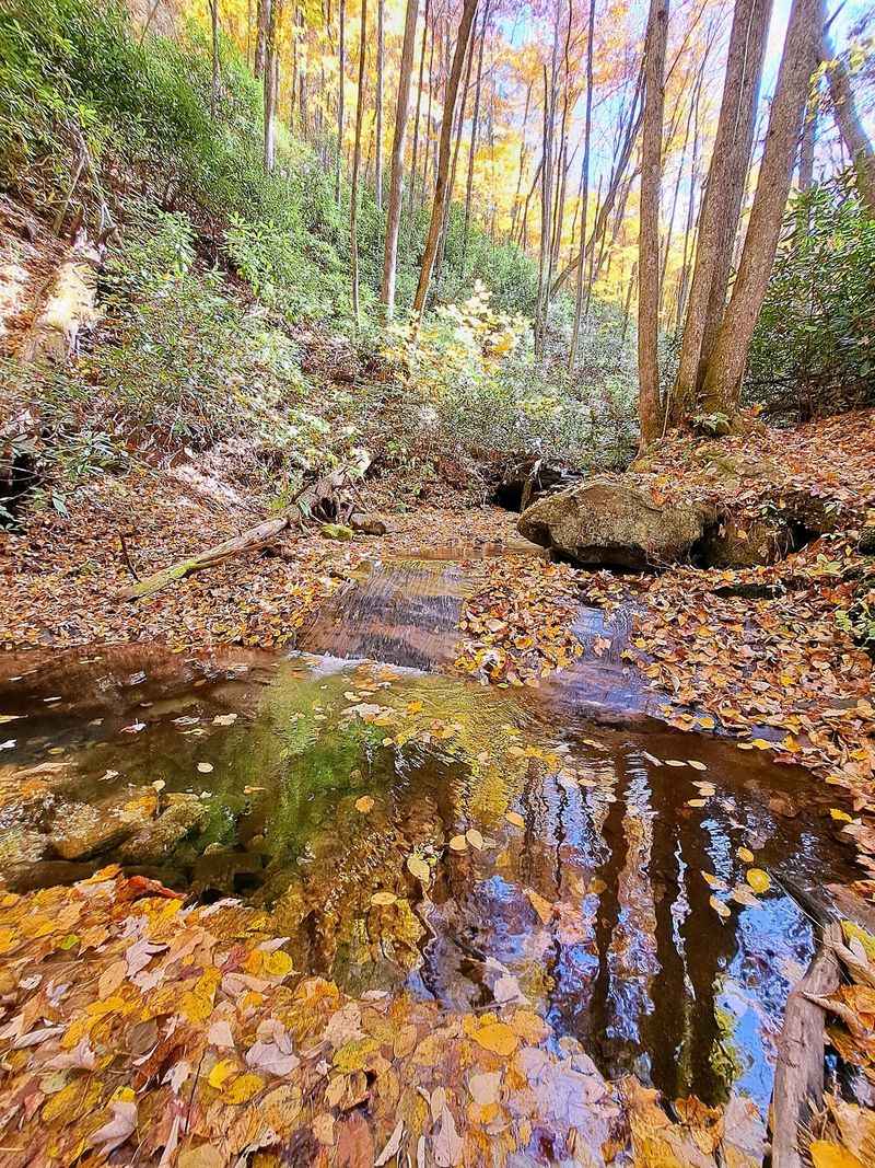 Start The Afternoon With A Short Drive Into The Cherokee National Forest