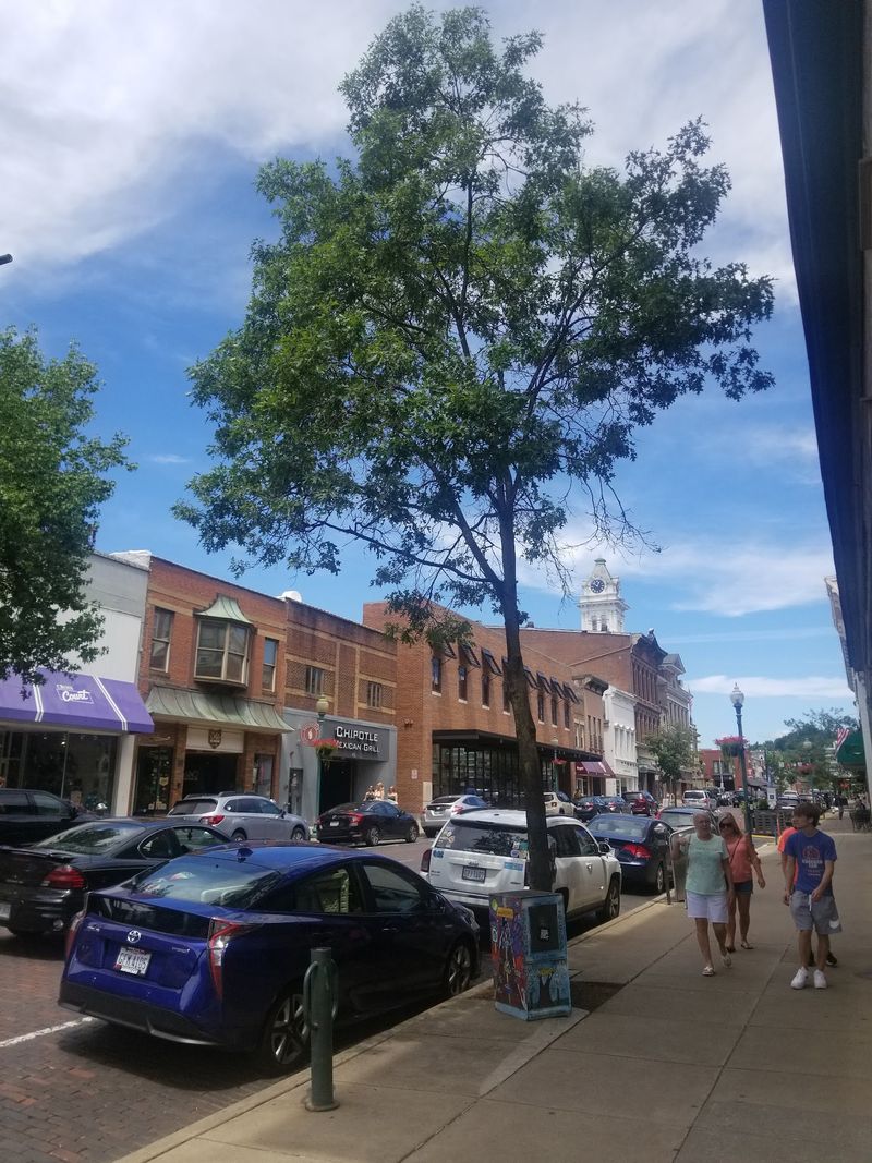 Downtown Energy Without The Elbows