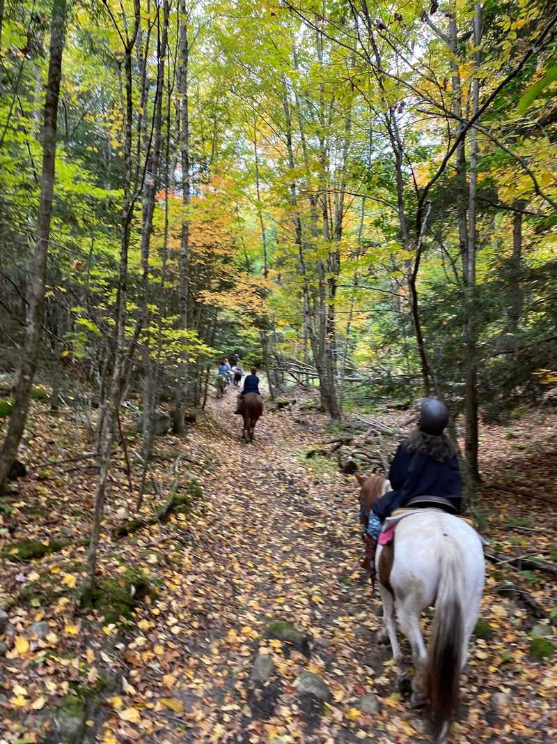 Meet Ruggiero's At The Painted Pony Ranch