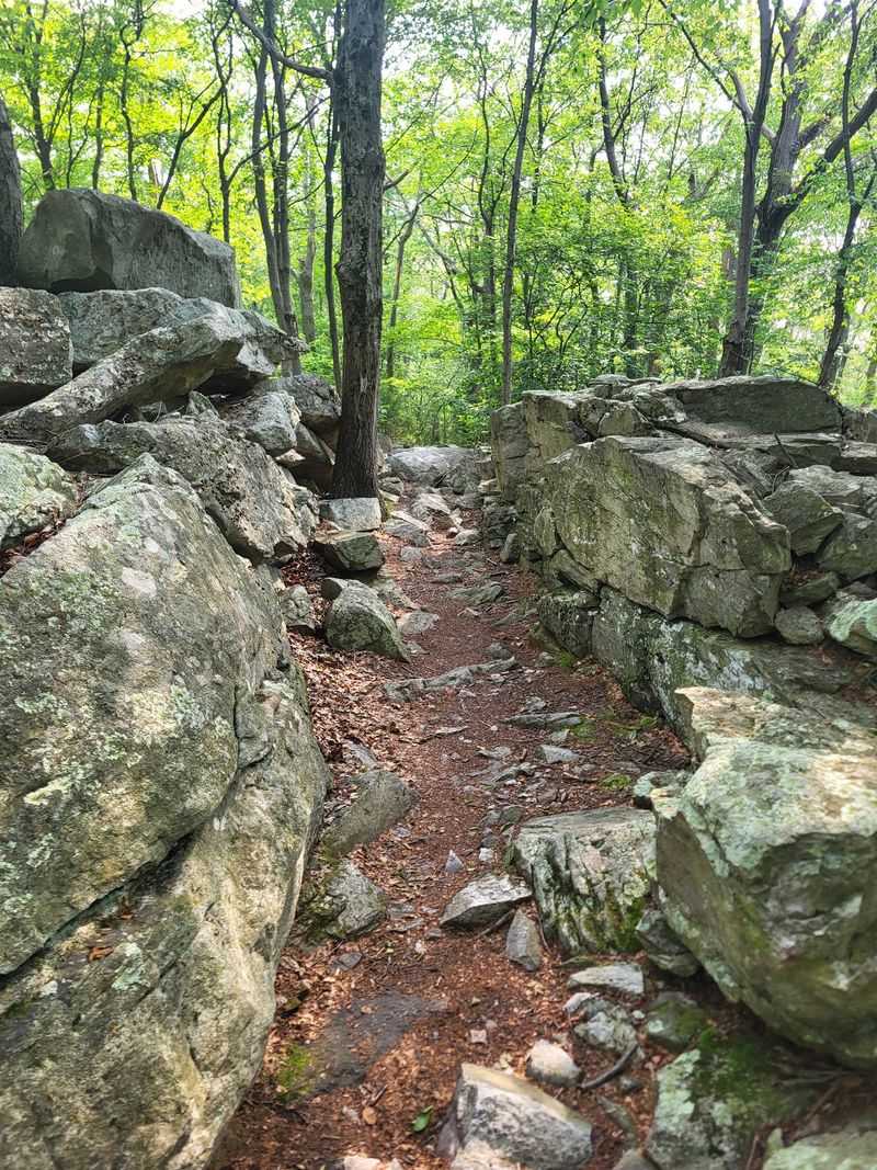 Welcome To Rocksylvania