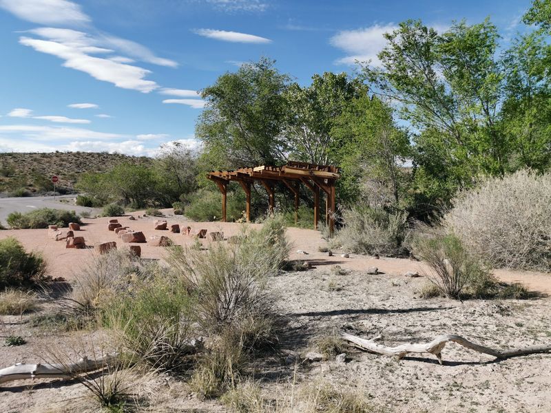 Shade Under the Cottonwoods: The Loop and Cabin Trails