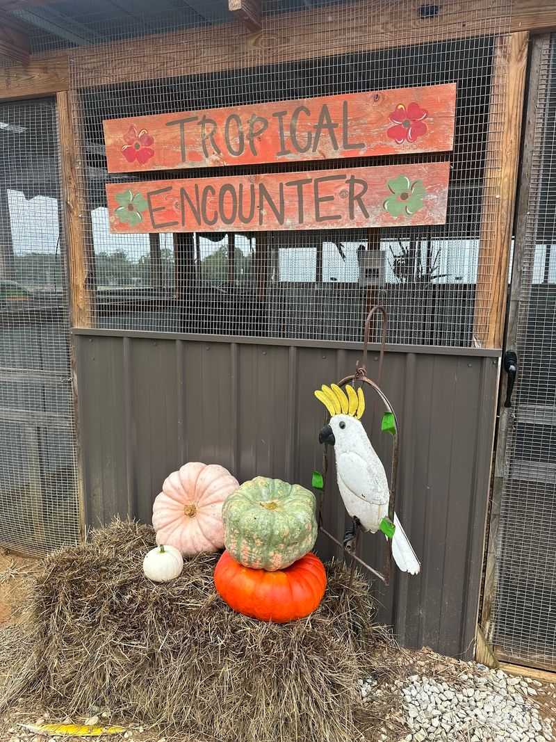 More Than Just Animals On The Property