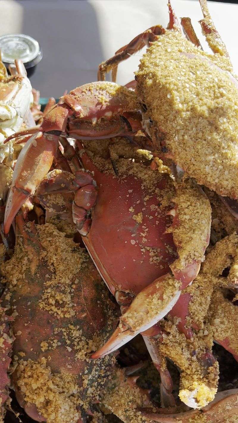 Steamed Blue Crabs Piled High On Brown Paper