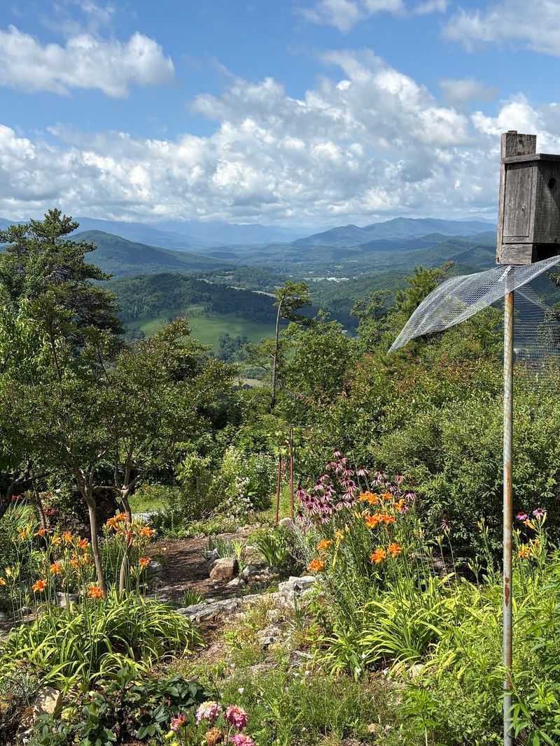 Gardens Made For Slowing Down