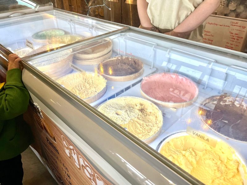 From Milking Parlor to Scoop Case