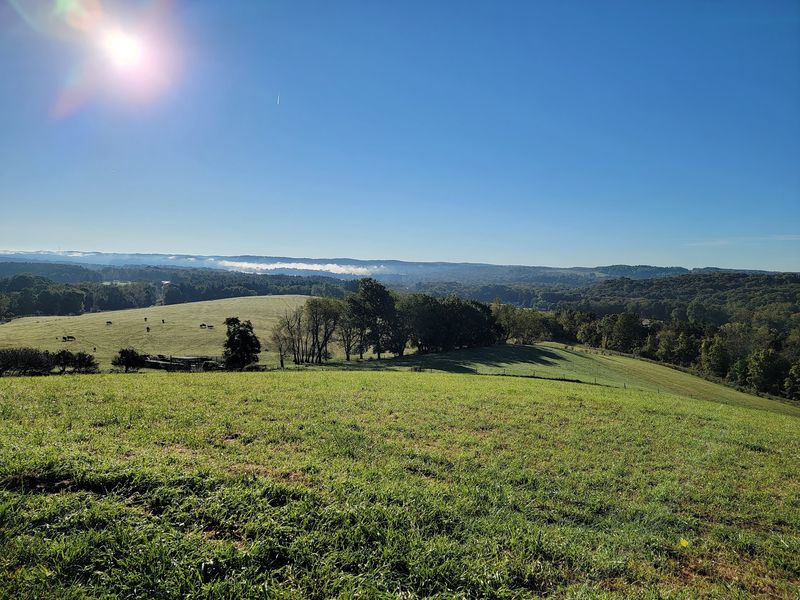 A Green Bowl of Land in Pleasant Valley