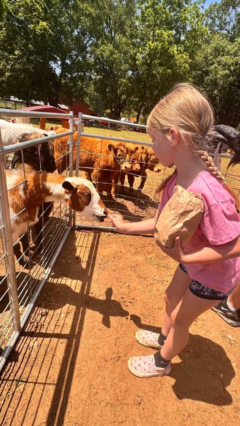 How a Family Operation Grew Into an Animal Encounter Destination