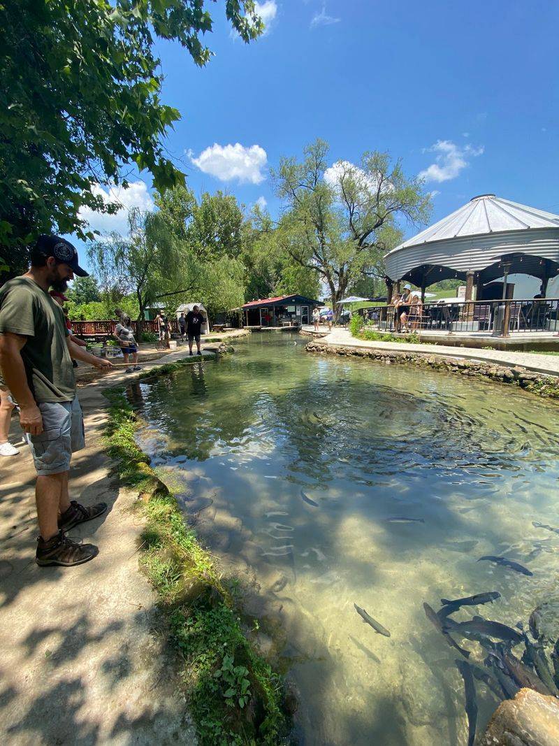Sixty Years Of Ponds, Creek Water And Regulars