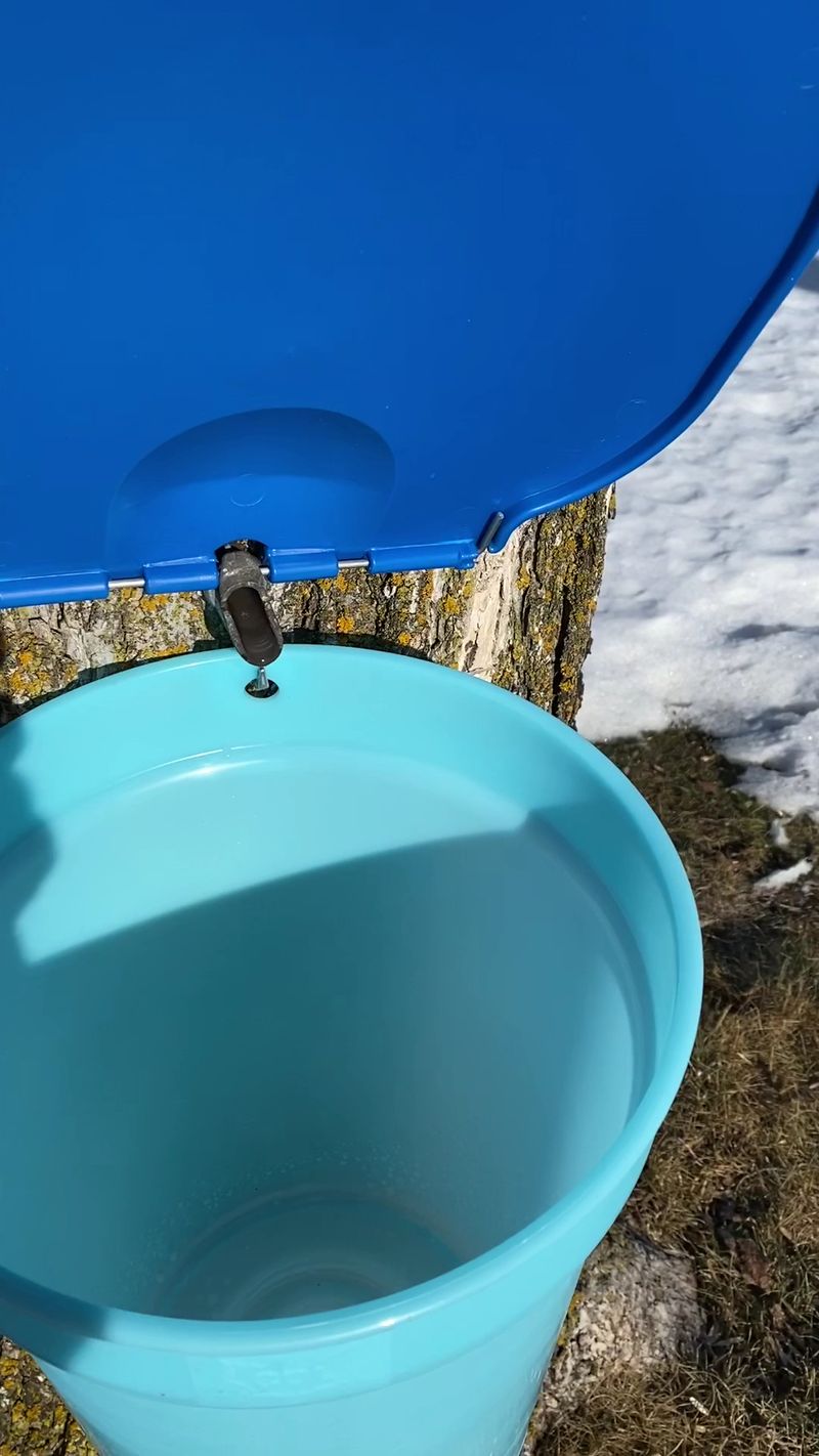 Watch Sap Turn Into Syrup Inside The Sugarhouse