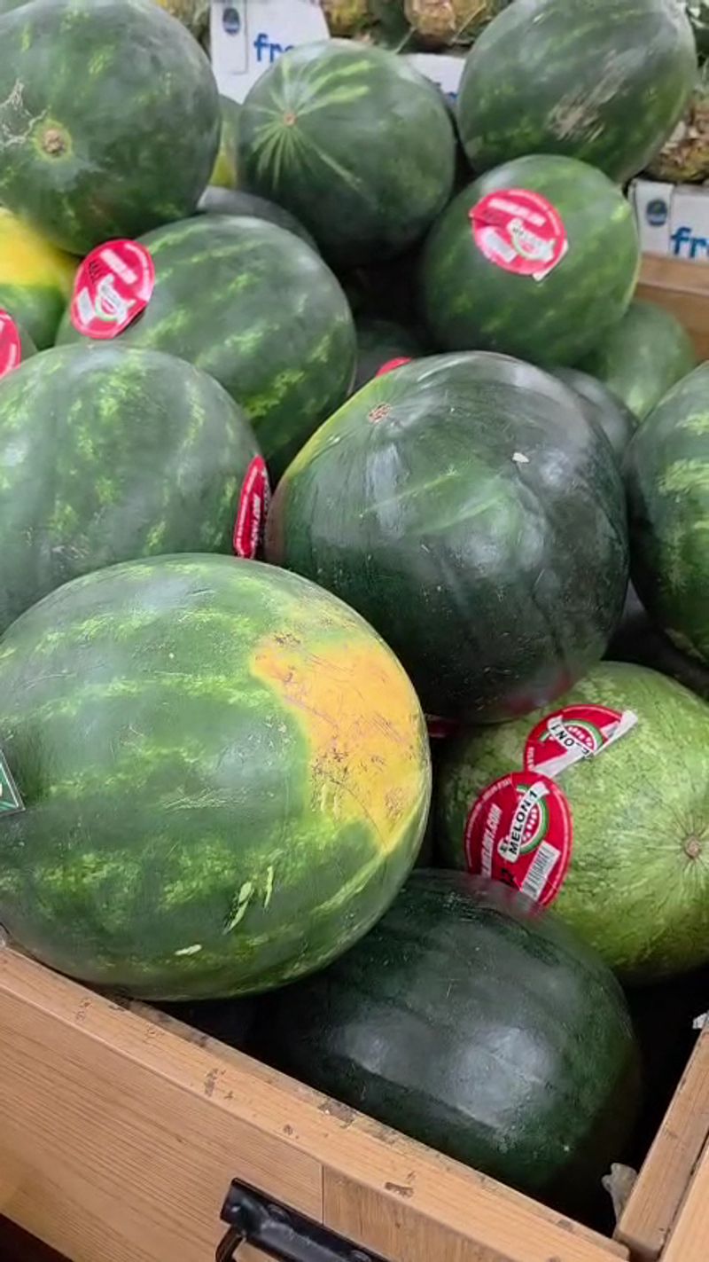 Trader Joe's, Colonie, NY