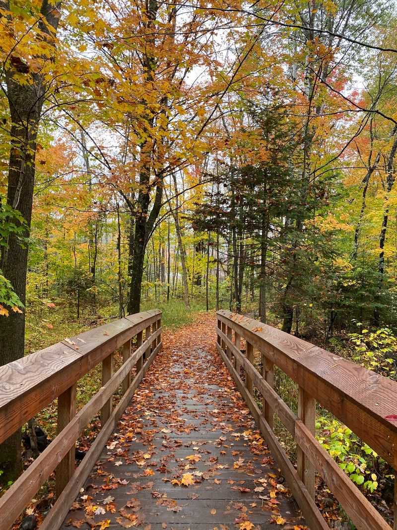 Picking The Right Season For Your Visit