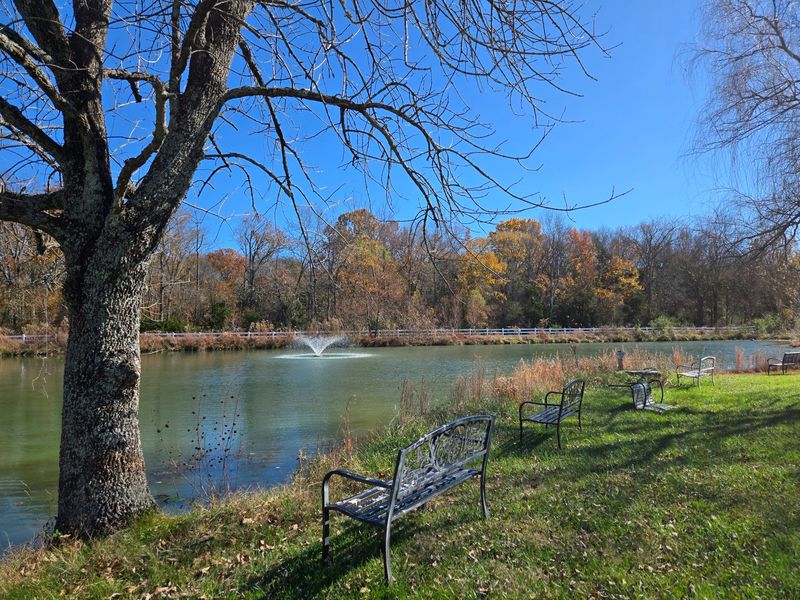 Picnic Tables and the Vegan Lunch Rule