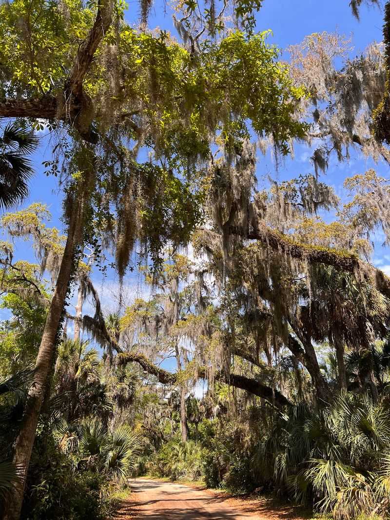 Ormond Scenic Loop & Trail