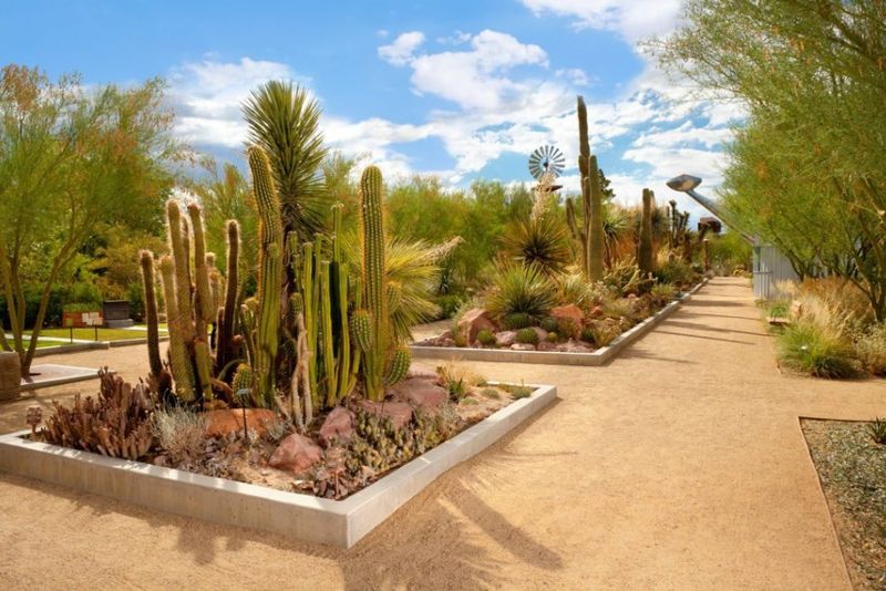 Blooms, Cacti, And A Garden Full Of Ideas