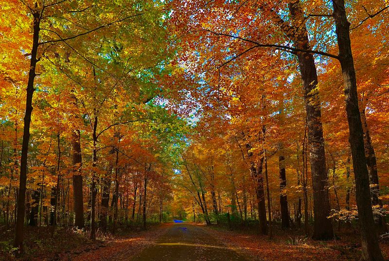 Funks Grove Nature Spaces