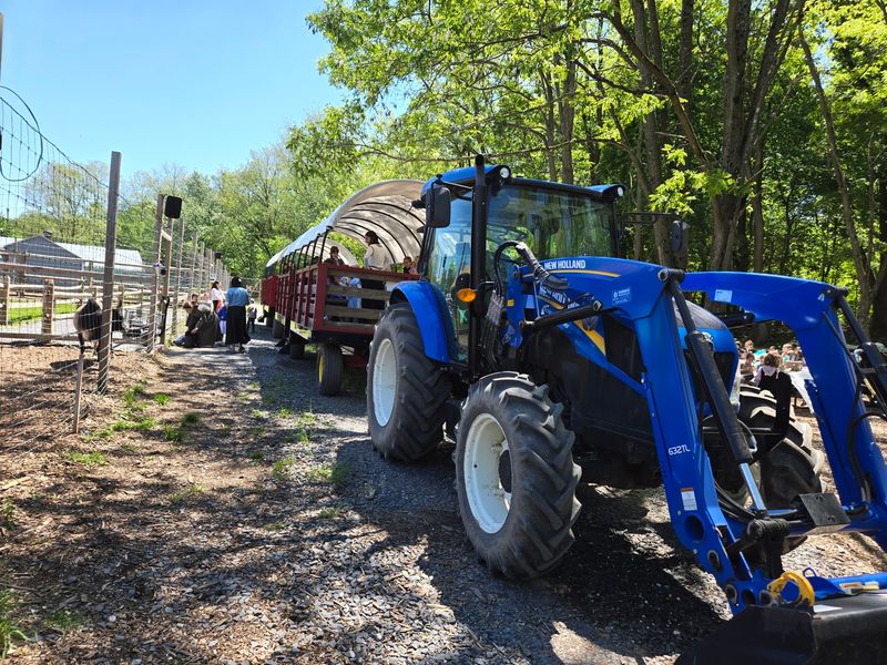Hayrides Through The Harvest Fields