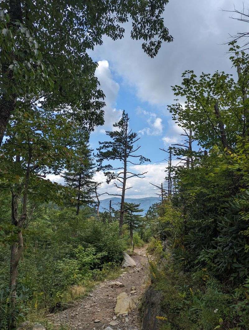 Rainbow Falls Trail