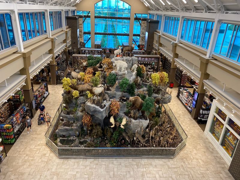 Wildlife Displays That Feel Like A Mountain Trip