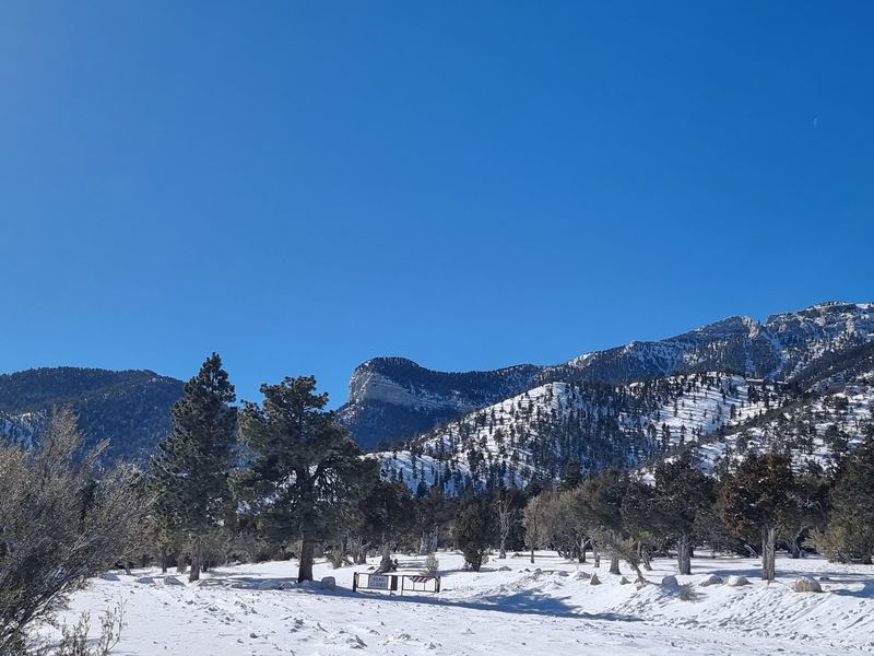 Winter Snow And What It Changes