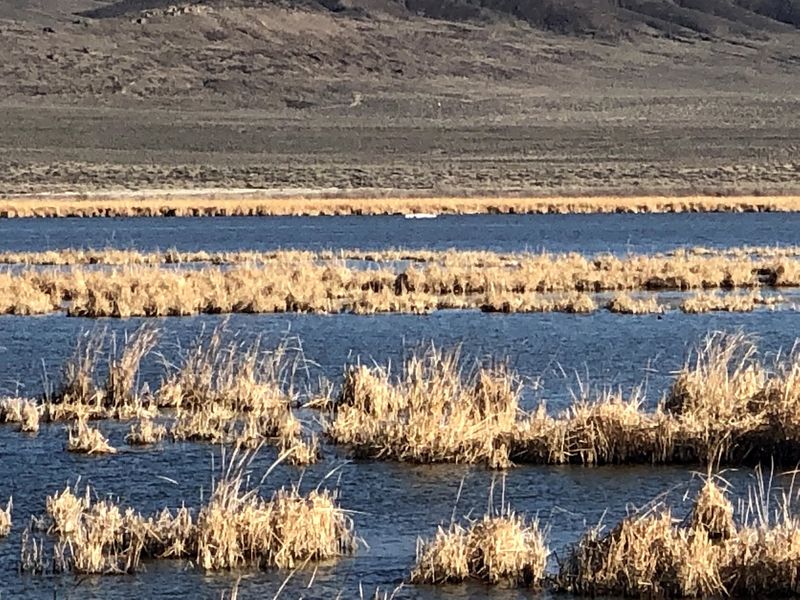 Leftovers From An Ancient Inland Sea