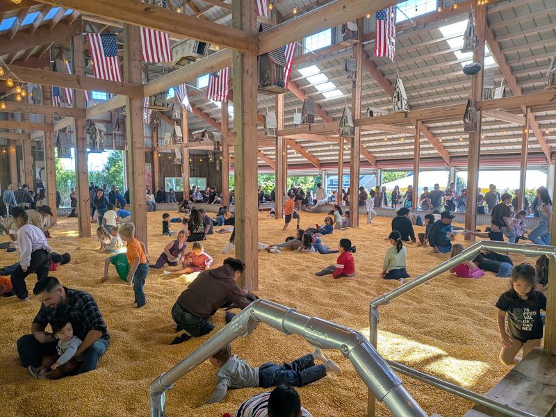 The Massive Corn Pit and Play Areas