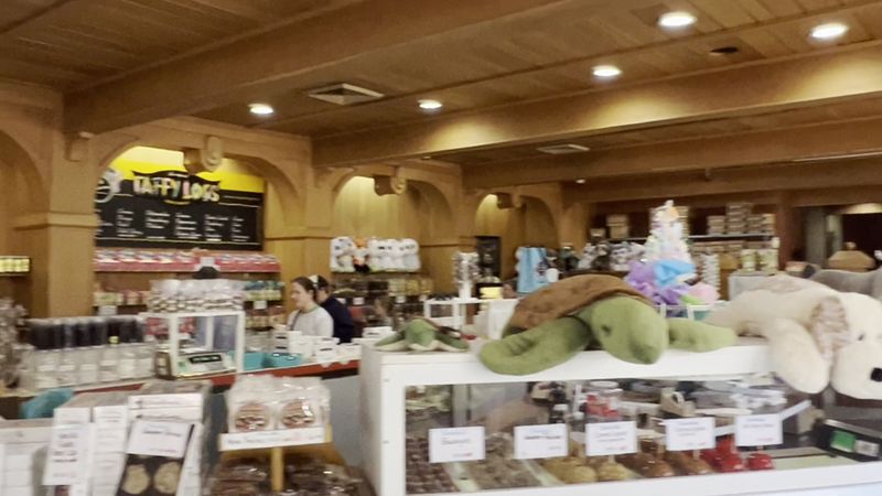 Counter Service And The People Behind It