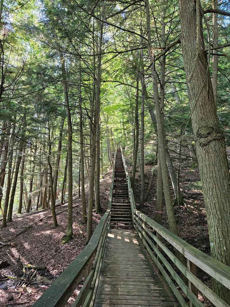 Echoes Of Michigan's Logging Days