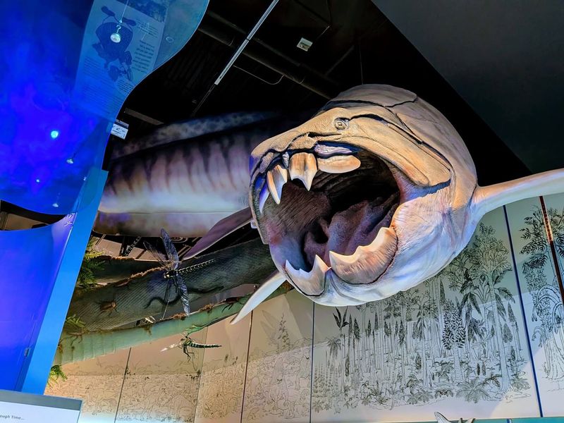 Fossils Reveal Wisconsin's Ancient Past
