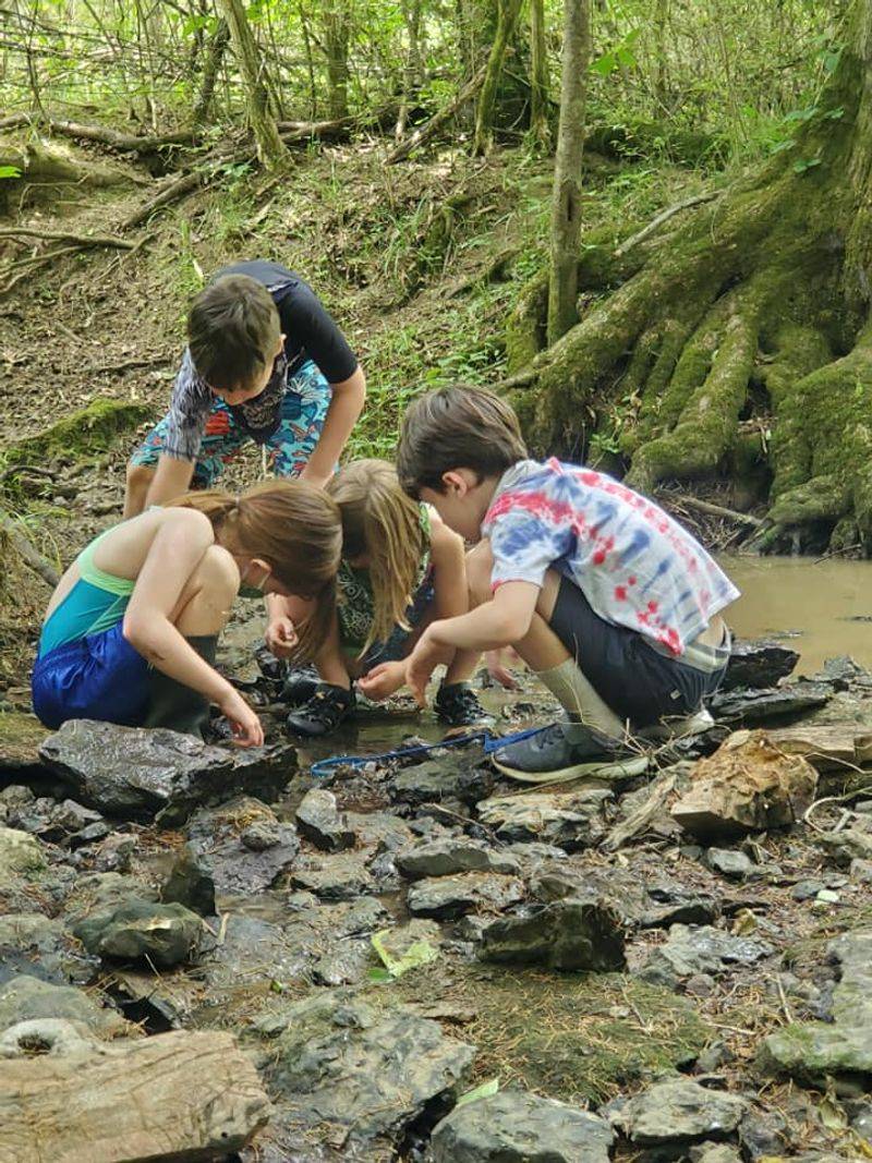 Wild Explorer Packs Turn Kids Into Field Scientists