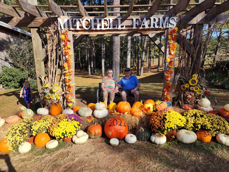 The Mississippi Peanut Festival And Character Day