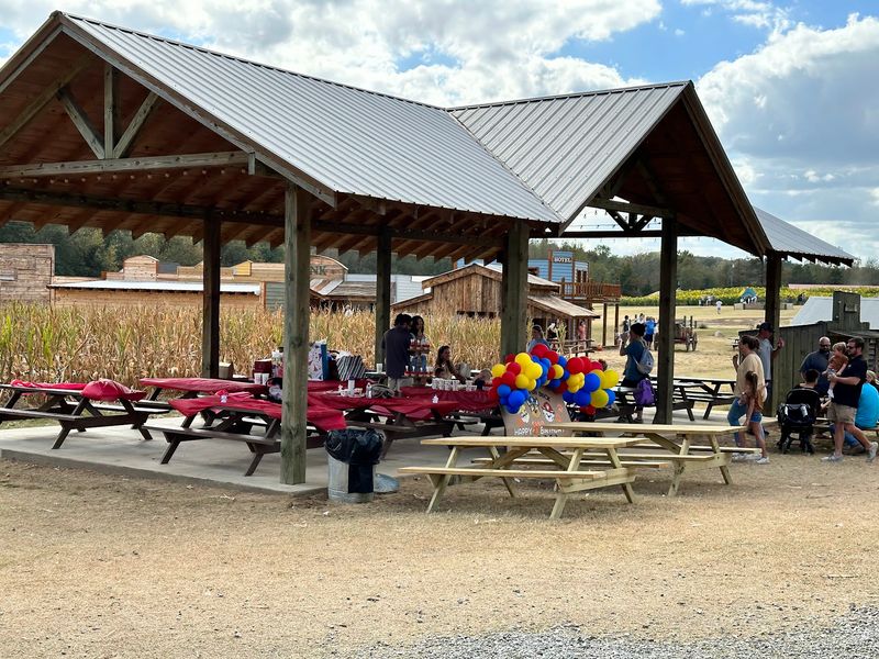 Snacks, Shade And Smart Visit Planning