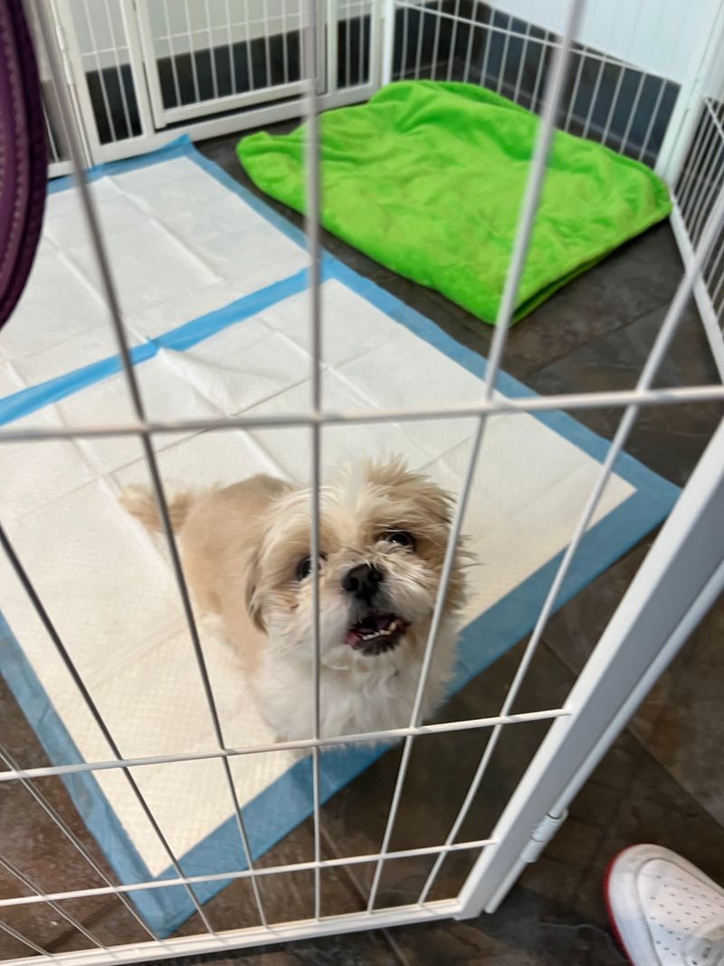 Quincy Animal Shelter